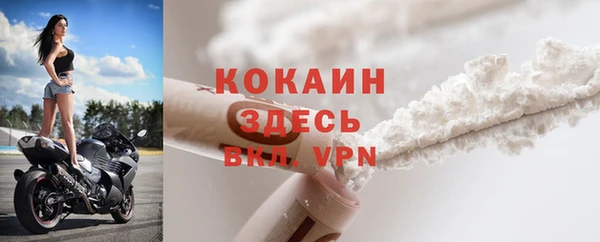 ешки Бородино