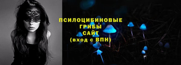тгк Верея