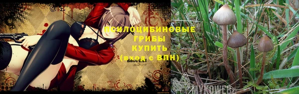 кокаин премиум Верхний Тагил