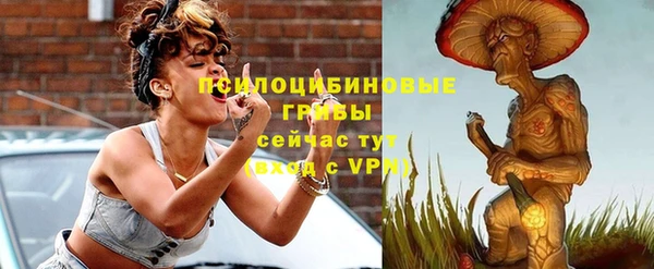 стаф Волоколамск