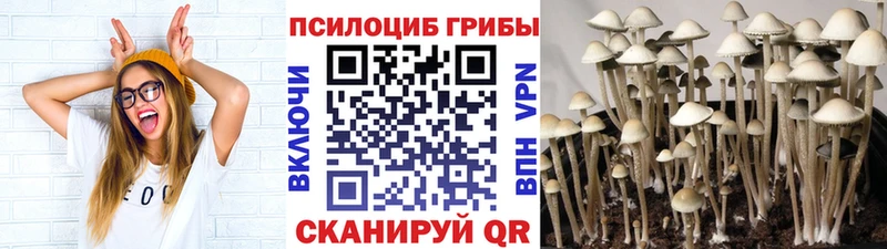 ОМГ ОМГ зеркало  что такое наркотик  Дагестанские Огни  сайты даркнета как зайти  Псилоцибиновые грибы Psilocybe 